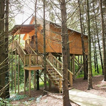 Whispering Pines Treehouse By Amish Country Lodging Millersburg Kültér fotó