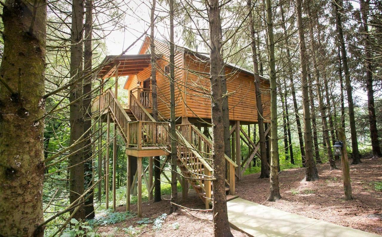 Whispering Pines Treehouse By Amish Country Lodging Millersburg Kültér fotó
